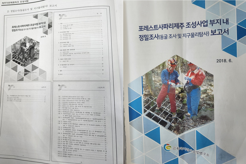 ‘제주자연체험파크조성사업 환경영향평가서 통합본’ 내 두 번 등장하는 '‘포레스트사파리제주 조성사업 부지내 정밀조사(동굴 조사 및 지구물리탐사) 보고서’