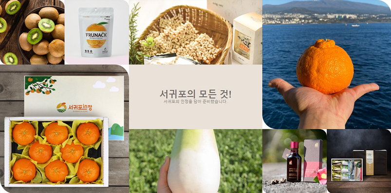 서귀포in정 홈페이지 캡처
