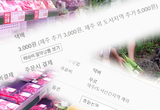 제주 및 섬지역 정주여건 실태조사 정례화 추진 ... 특수배송비 해결 실마리