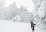 14일 제주도 산지에 2∼8㎝ 눈 … 대설 예비특보