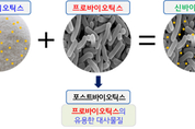 ‘프로바이오틱스’와 그 친구들 ... 과연 장에 도움이 될까?