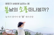 꽃향기 바람에 날리는 봄 ... 소풍 갈만한 곳 어디?