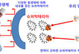 항생제 오.남용에 의한 슈퍼박테리아 출현! ... 인류 위협한다