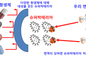 항생제 오.남용에 의한 슈퍼박테리아 출현! ... 인류 위협한다