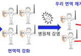 백신, 전염병 예방과 인류수명 연장의 강력한 무기