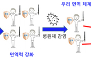 백신, 전염병 예방과 인류수명 연장의 강력한 무기