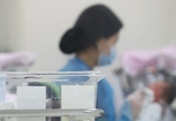 제주, 누적 신생아 감소율 '전국 3위' … 저출생 위기 여전