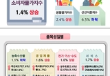 "물가 그대로인데 장보긴 더 빠듯" … 제주 5월 물가 '체감 인상'