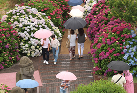장마철 들어선 제주, 13일 밤부터 시간당 30∼50㎜ 강한 비