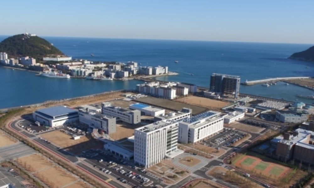 기후변화가 제주 소라 생태계 흔든다 … 해수온 상승, 면역력 위협