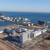 기후변화가 제주 소라 생태계 흔든다 … 해수온 상승, 면역력 위협