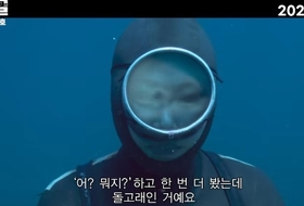 제주 바다에 울리는 마지막 신호 … 다큐 '씨그널' 16일 전국 극장가 개봉