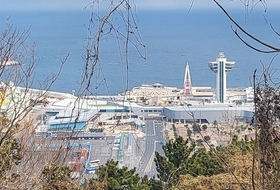 물류비 확 줄이는 제주~칭다오 바닷길 ... 8월 열린다