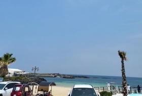 제주 우도서 무질서 단속, 140건 무더기 적발 … 수배자 6명도 걸렸다