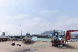고수온에 한치 자취 감췄다 … 제주 여름 밤바다, '빈 배'만 남아