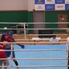 총체적 문제투성이 제55회 대통령배 복싱대회 ... 글러브 안 바꾸고, 검진은 첫날뿐