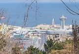 제주~칭다오 새 바닷길 열렸다 … 22일부터 정기 운항