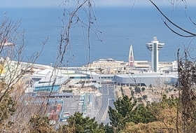 제주~칭다오 새 바닷길 열렸다 … 22일부터 정기 운항