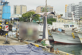 제주 해상서 길이 10ｍ 대형 고래 혼획돼 … 해경 조사중