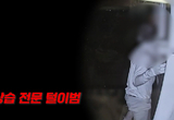 서귀포 농촌 상가 10여 차례 턴 상습 절도범 … 잠복 경찰에 덜미