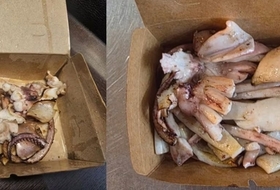 '반쪽짜리 오징어' 논란 반전 ... 서귀포 매일올레시장 업주 '억울'