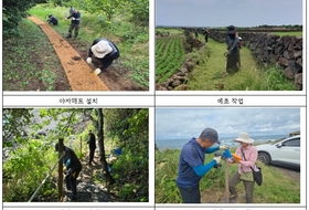 “올레길은 우리가 지킨다" ... 5060 '제주올레 그린리더' 11명 활동