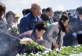 제주4.3실무위원회, 희상자 보상금 신청 204명 심사 완료
