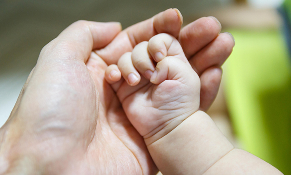 제주도, 내년부터 손주 돌보는 조부모에 매월 최대 60만원 지원