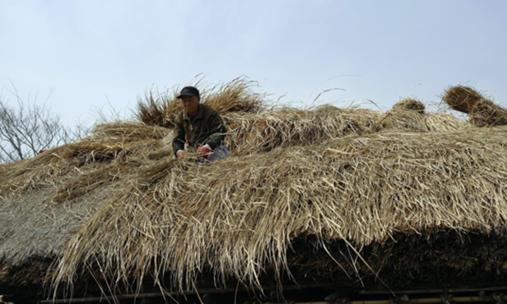 집, 문명 발전으로 초가에서 신소재로 변화하다
