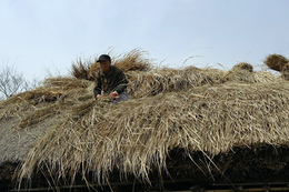 집, 문명 발전으로 초가에서 신소재로 변화하다