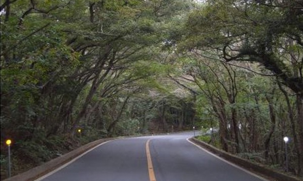 군사 쿠데타 미화 논란 '5･16로' ... '이름 바꾸자' 논쟁 재점화