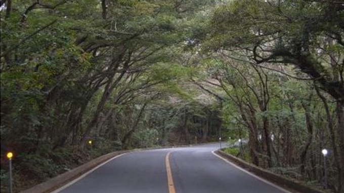 군사 쿠데타 미화 논란 '5･16로' ... '이름 바꾸자' 논쟁 재점화