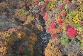 단풍 절정으로 빨갛게 물든 한라산 ... 평년보다 14일 늦어