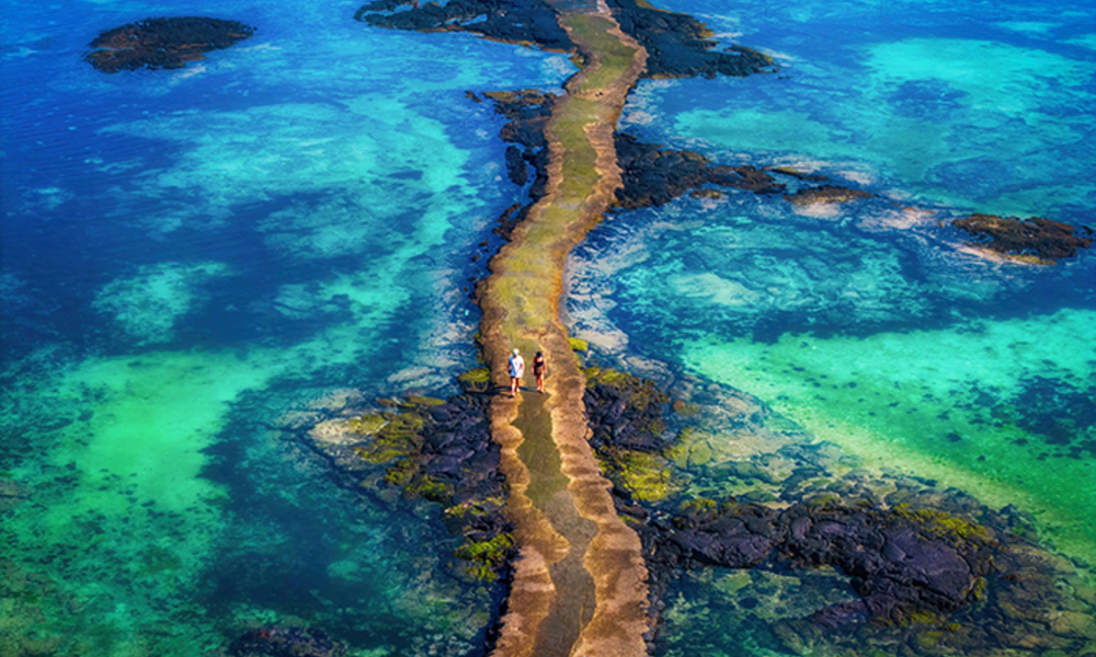 '제주국제사진공모전' 대상에 황보달 '에메랄드빛 신비의 길'