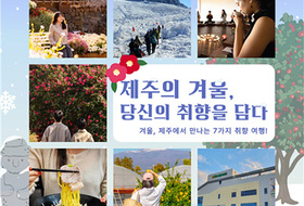 제주의 겨울 여행 ... 활짝 핀 동백꽃, 새하얀 한라산을 새로이 보다