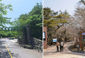 국립 절물·서귀포자연휴양림, 입장료 도민 모두 무료로 전환