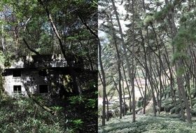 '한라산 남성대 대피소', 국가산림문화자산 이름 올렸다