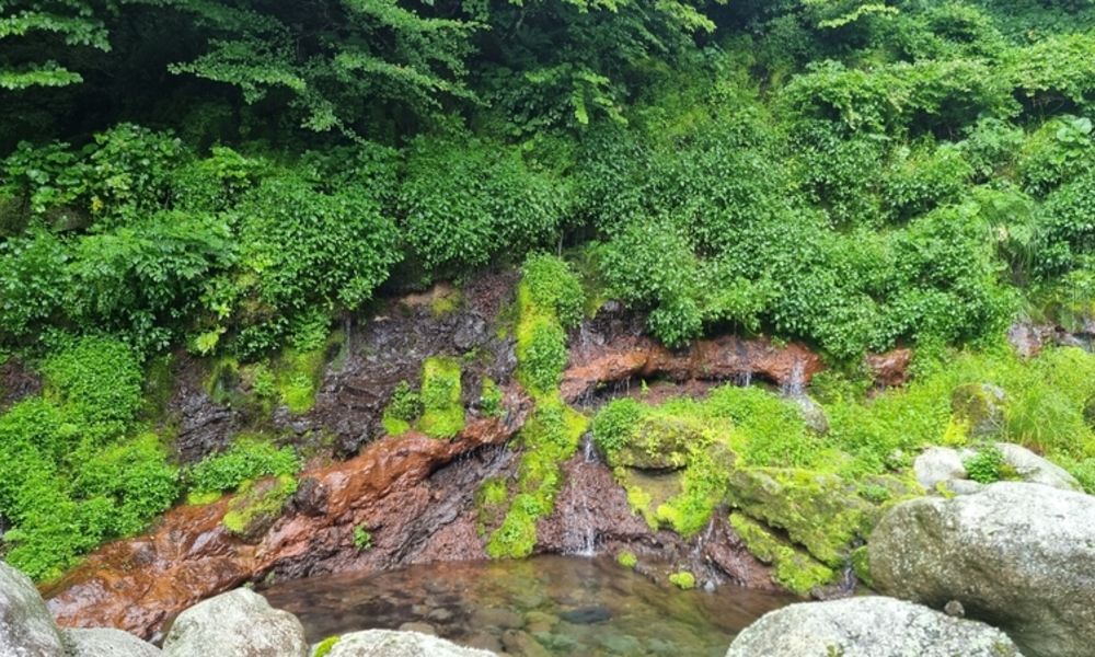 한라산 어리목계곡 화산암층·용천수, 천연기념물 이름 올린다