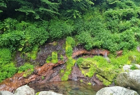 한라산 어리목계곡 화산암층·용천수, 천연기념물 이름 올린다