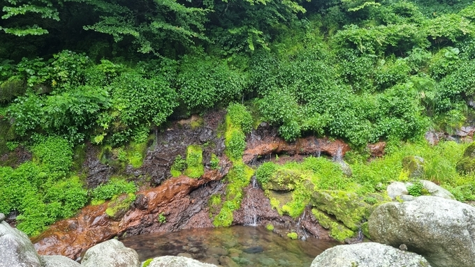 한라산 어리목계곡 화산암층·용천수, 천연기념물 이름 올린다