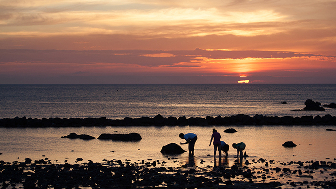 한해 내내 이상기온에 시달린 제주 ... 2025년은 남달랐다