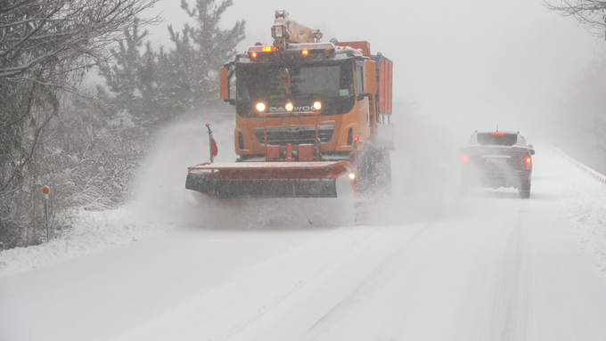 제주 한라산 사제비 20.3㎝ 많은 눈 … 산간도로 통행·한라산 탐방 통제