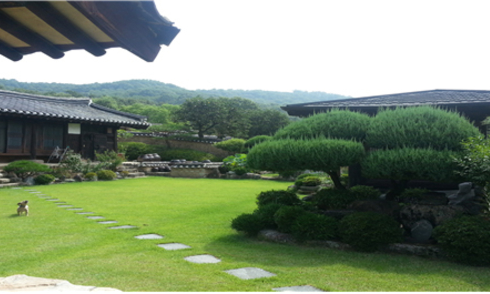 "물의 흐름은 경제적인 풍요를 관장한다!"