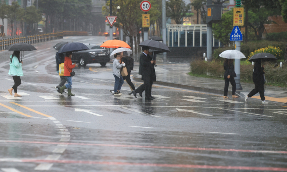 제주 산성비 30년간 더 독해져 ... "10번 내리면 10번 모두 산성비"