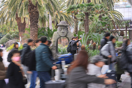 제주 찾은 관광객 200만명 돌파 ... "작년보다 2주 일러"