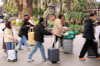 3·1절 연휴 제주에 관광객 16만5000명 온다