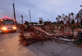 '나무도 뚝 간판도 뚝' ... 3·1절 연휴 제주 강풍 피해 속출