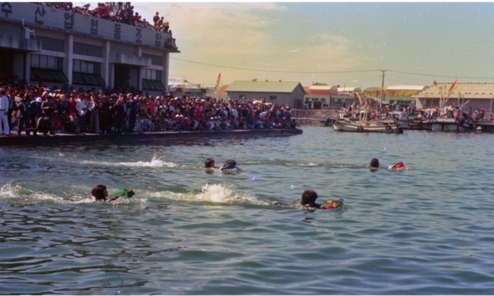[포토 제주오디세이] 1981년 제주시 수협(제주항) 그리고 지금