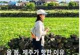 꽃·바다·마을여행 ... 계절의 색을 따라 떠나는 제주 봄 여행은?