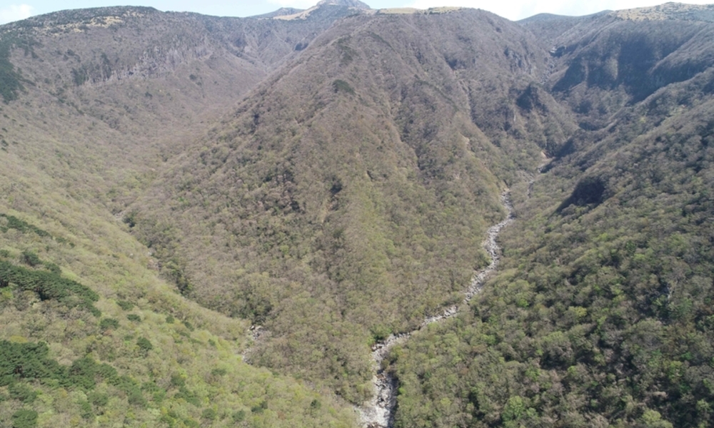 해발 1000ｍ 한라산 어리목 계곡 용천지대 ... 국가 자연유산 됐다